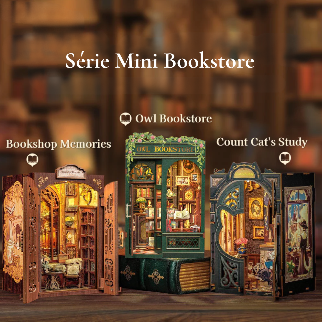 DIY Booknook The owl Bookstore - Série Mini Bookstore | Danva Creations